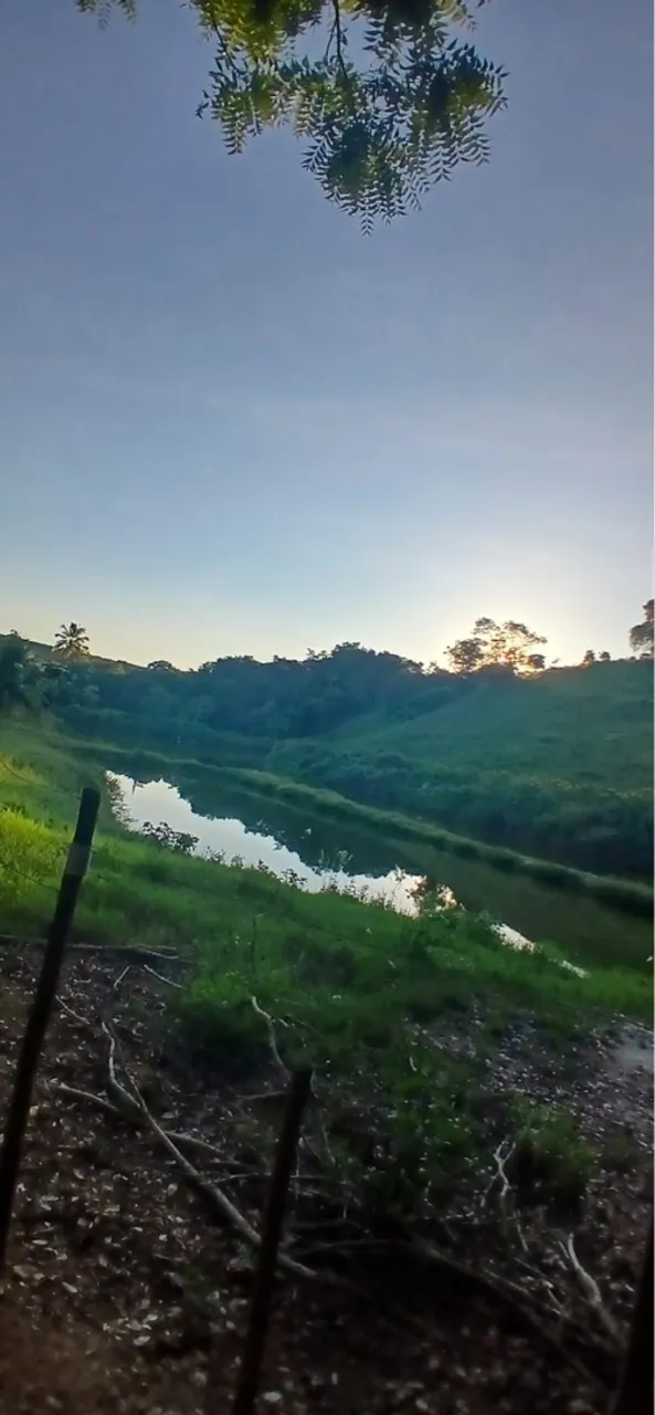 Vende-se Propriedade Rural em Pipinuk - Nova Venécia