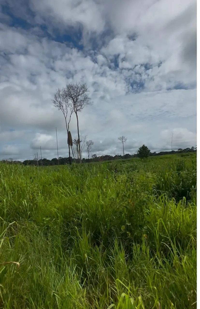 Vende-se esta propriedade  - Foto 4