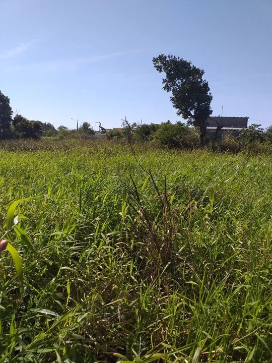Terreno Ilha Comprida Balneário Monte Carlo  - Foto 3