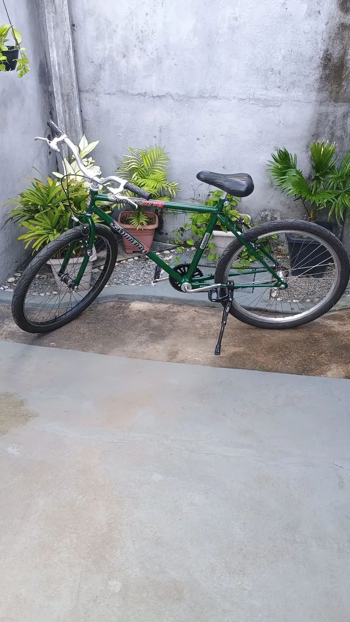 Mountain  Bike Aro 26