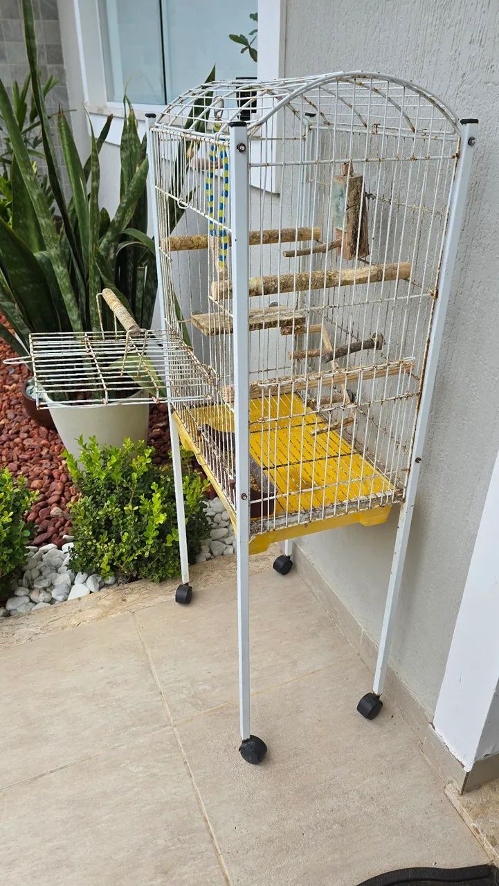 OPORTUNIDADE! Gaiola Viveiro Quatiguá  - Foto 3