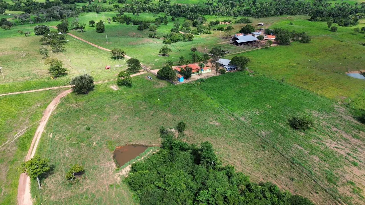 Fazenda em Rio Sono 95 mil por alqueire