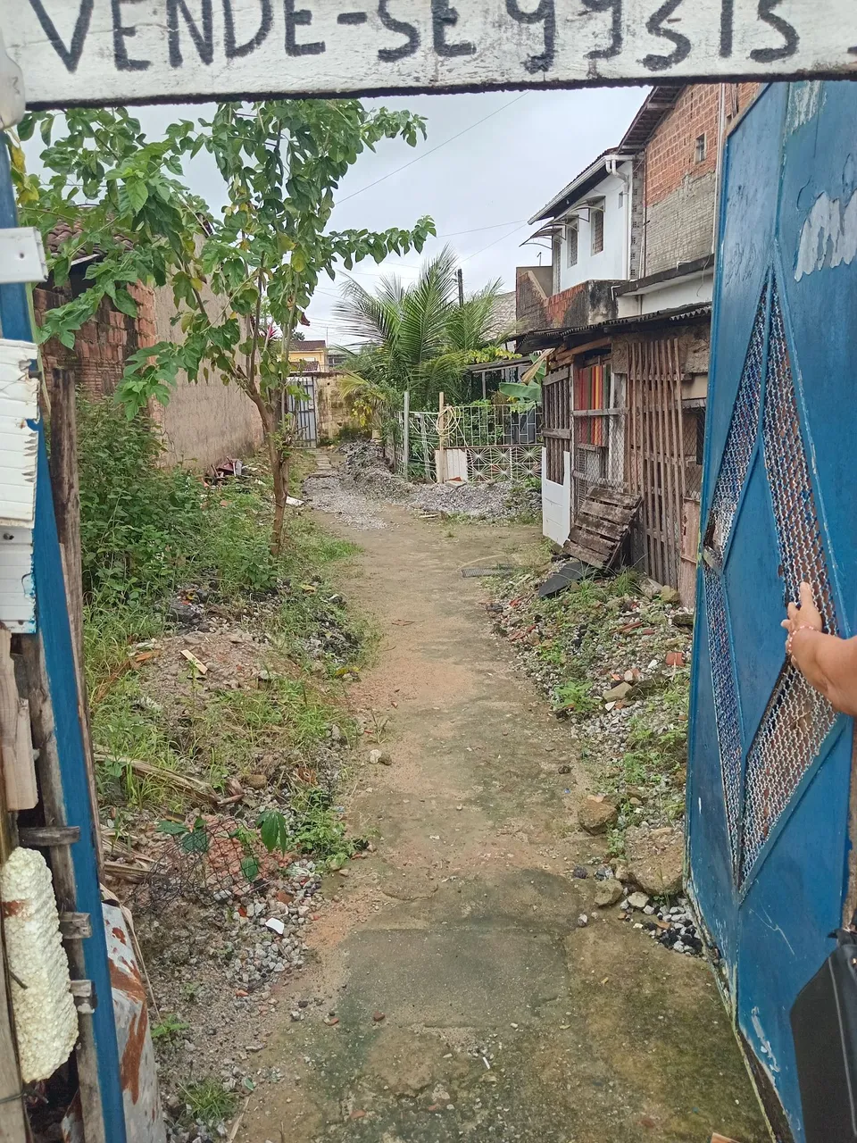 Terreno