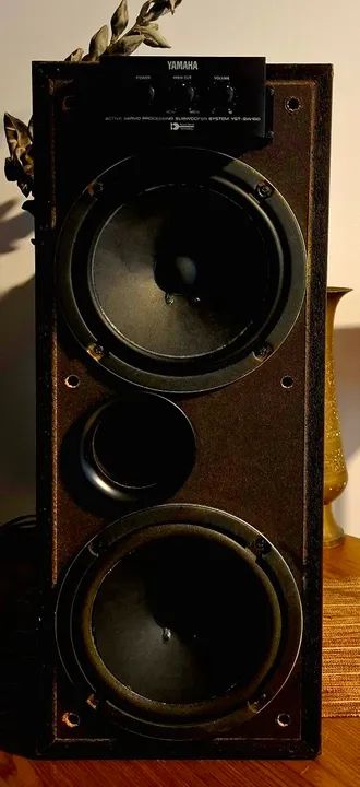 SUBWOOFER YAMAHA YST SW150 120w 2x8