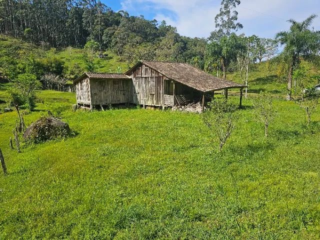 Lindo Sitio em São Pedro de Alcântara com 89.000m² - Foto 3