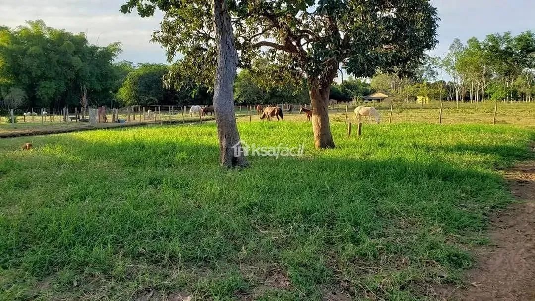 Chácara Residencial à Venda, Chácara Das Mansões, Campo Grande - . - Foto 3