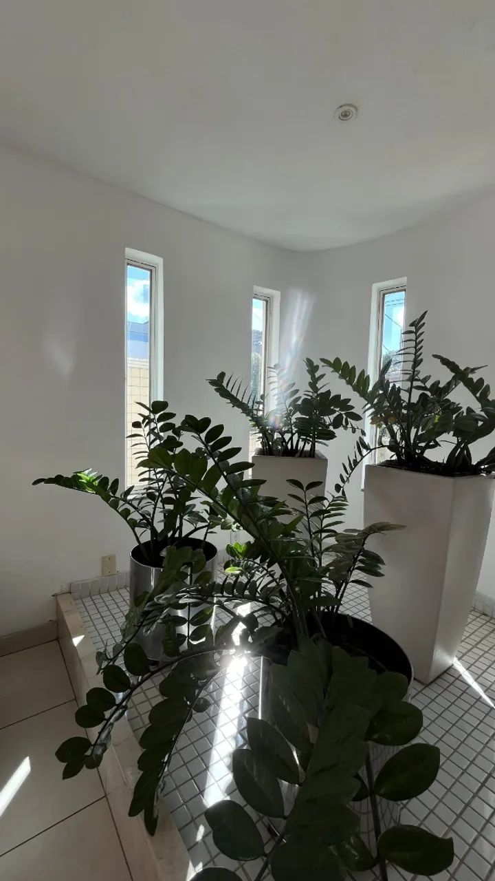 Casa ampla para venda no Centro, ao lado do Pitágoras - Foto 5