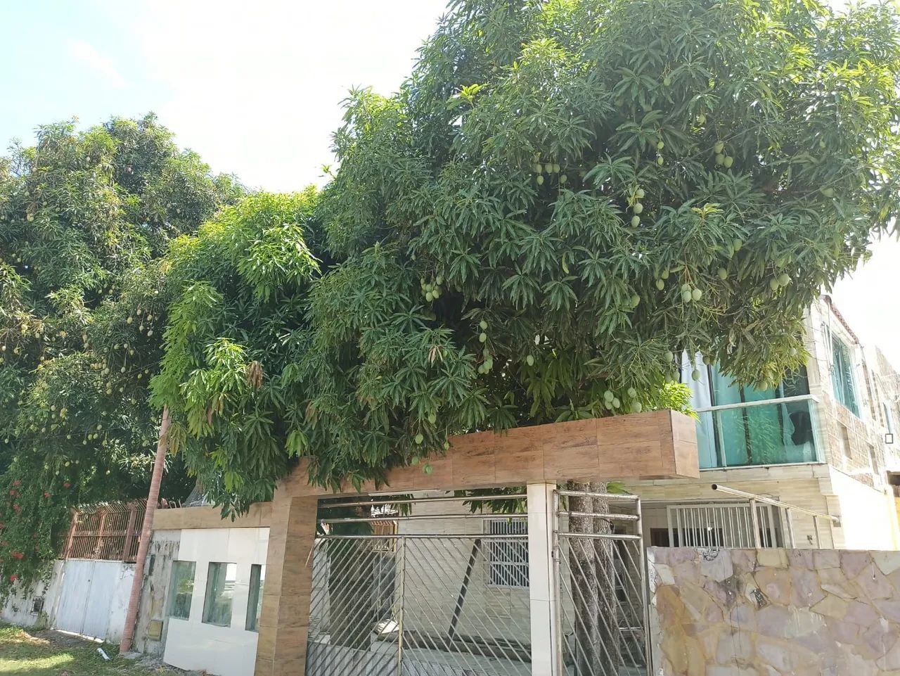 Aluguel por temporada na ilha 500 - Foto 3