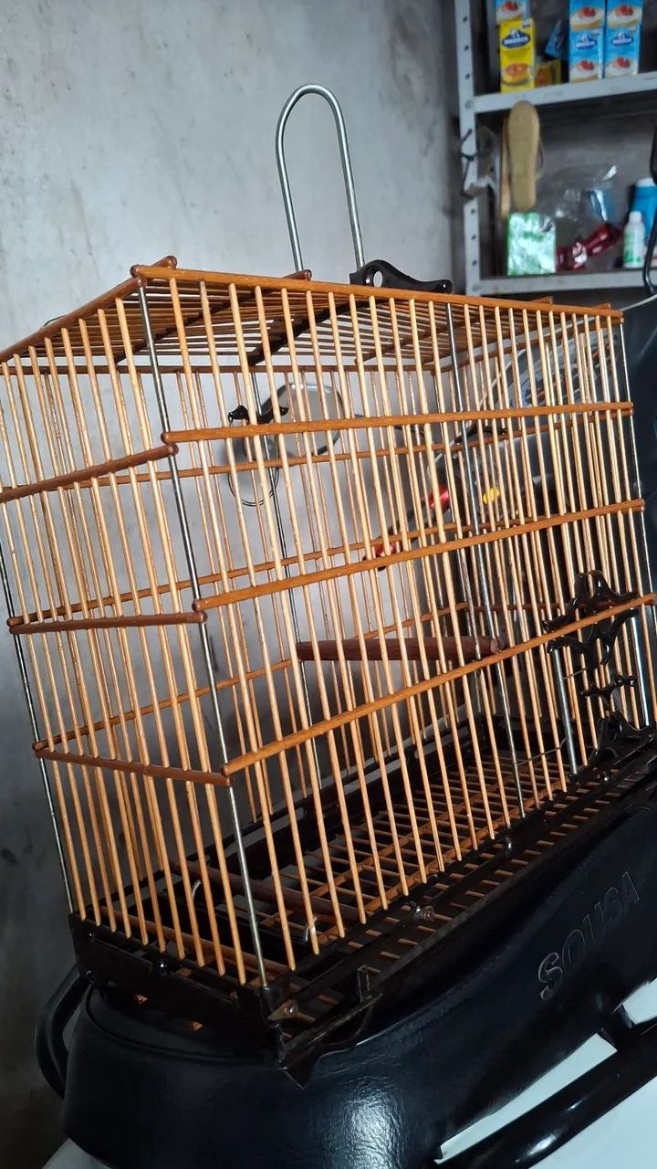 Semi-standard cage64304560434305120