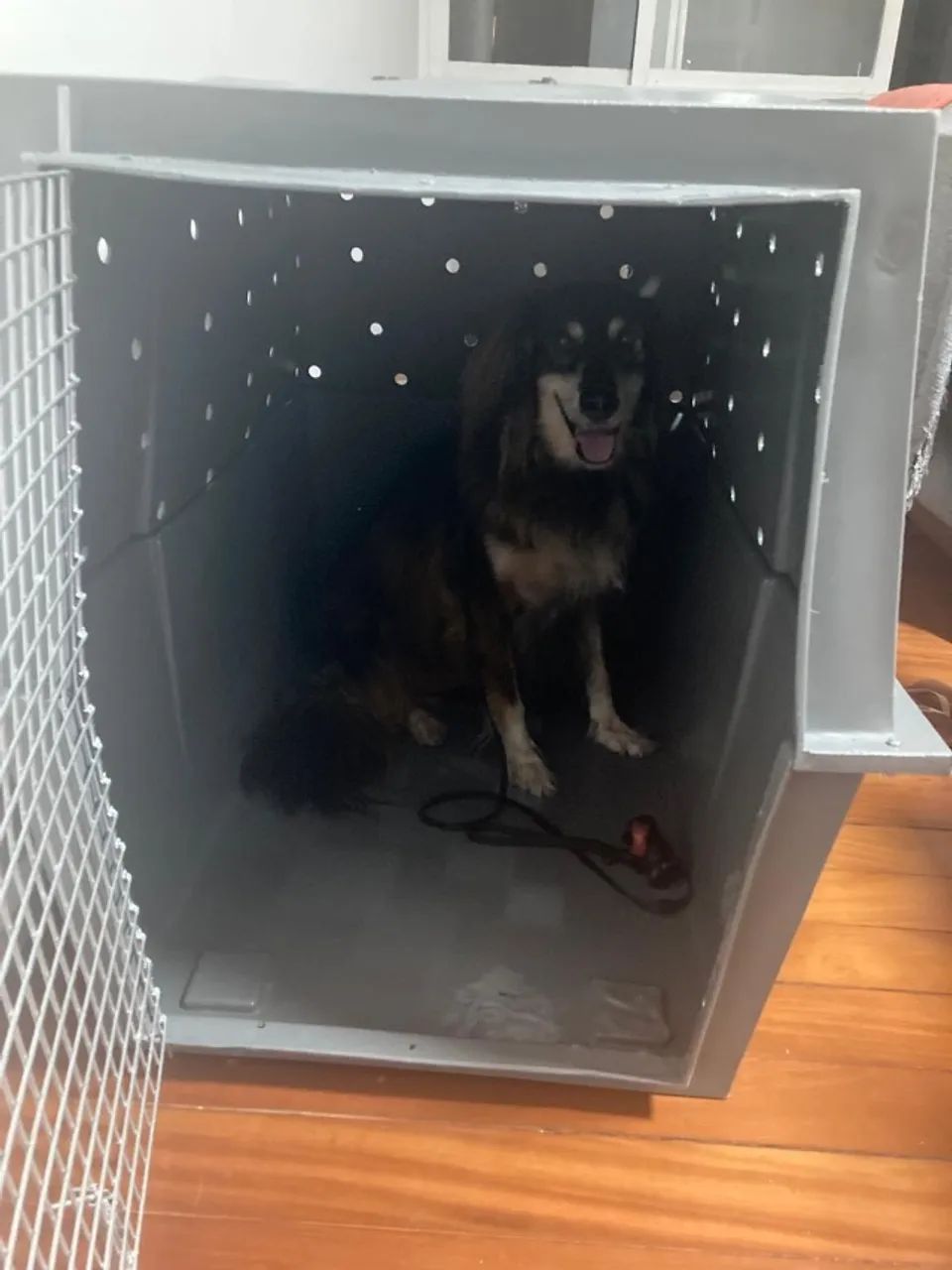 Caixa de transporte pet viagem Internacional n 08  - Foto 2