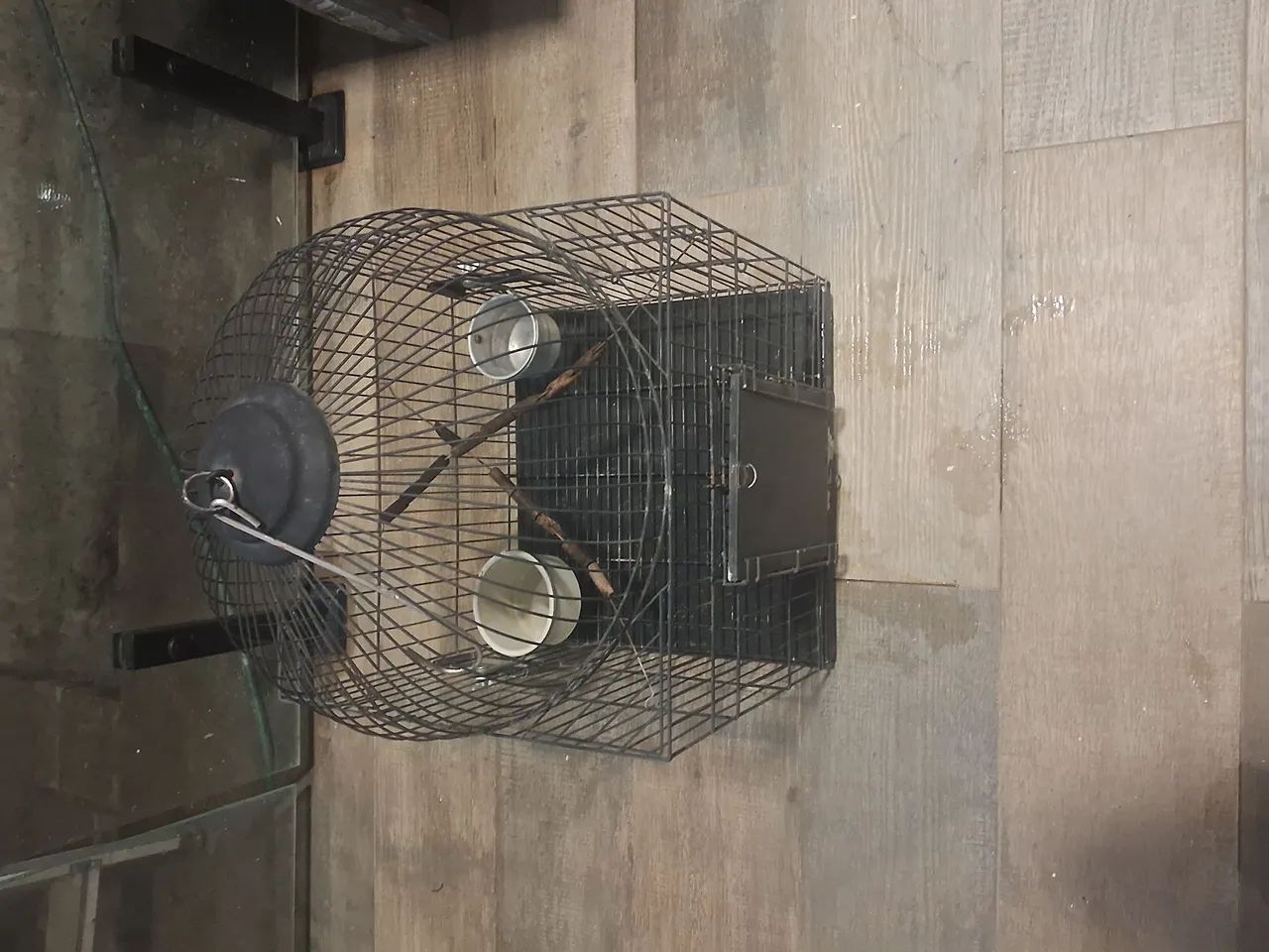 Gaiola para Calopsitas  - Foto 2