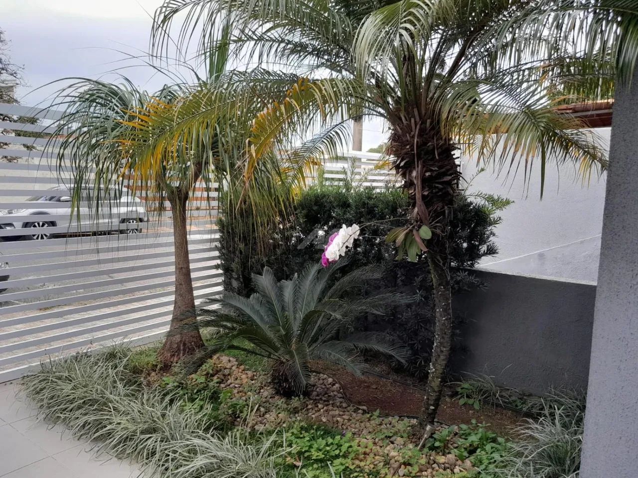 casa - Jardim Chapadão - Campinas - Foto 3