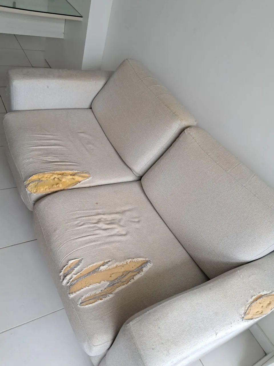 Sofá com colchão dentro, com desgastes feitos pelos gatos - Foto 3