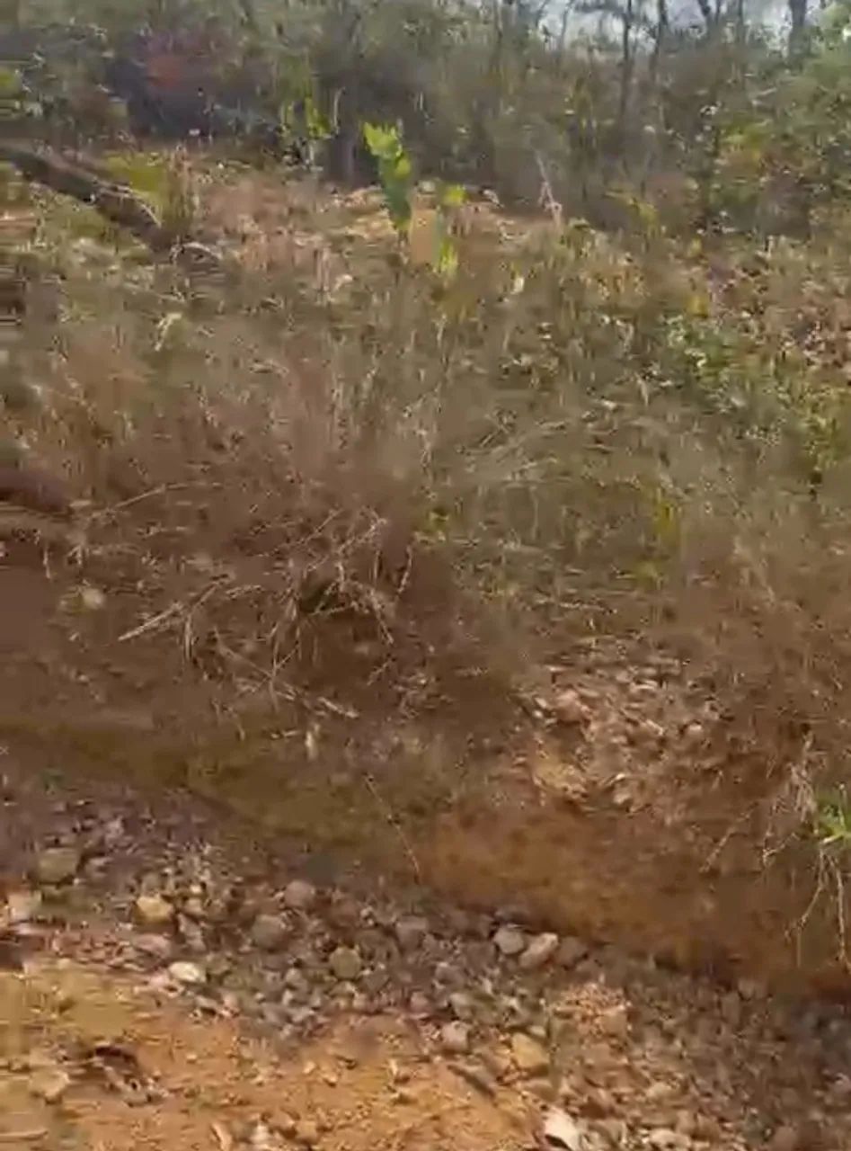 Vendo terreno em baldim  - Foto 4