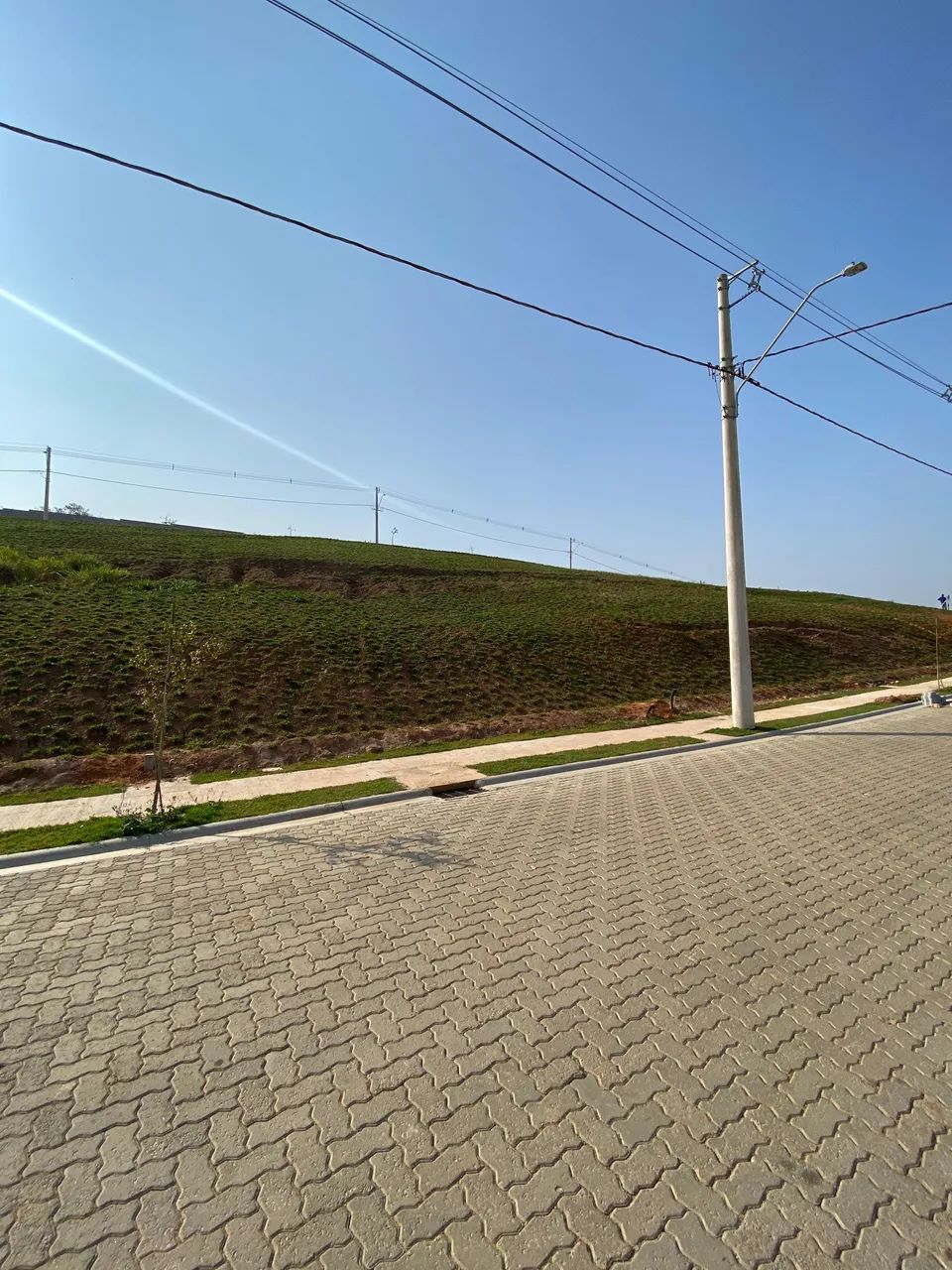 Foto - Itajaí - Cordeiros