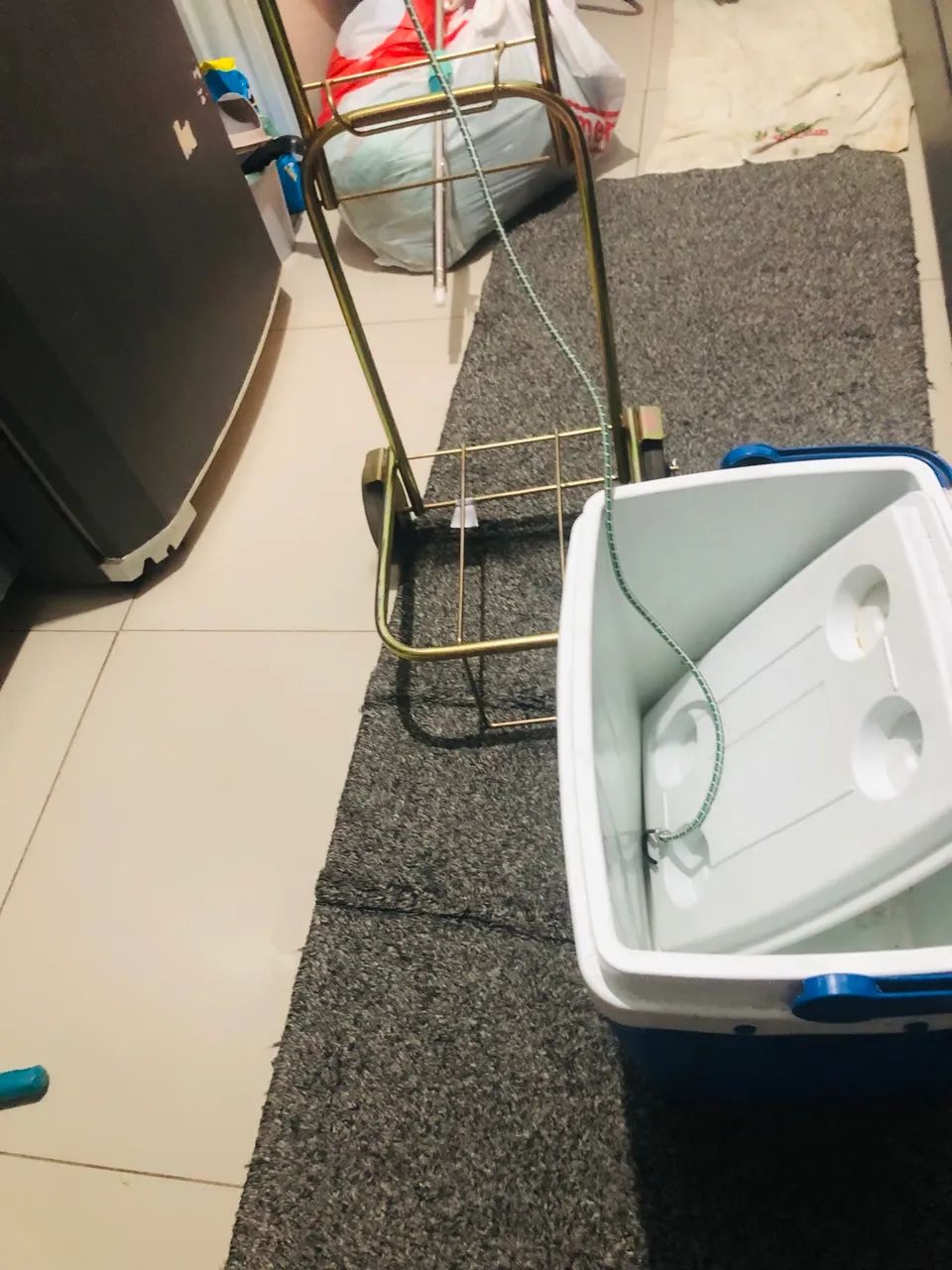 Kit cooler e carrinho dobrável  - Foto 3
