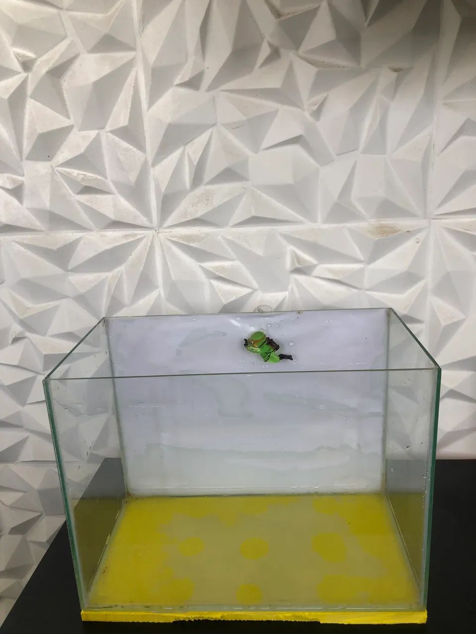 Aquario