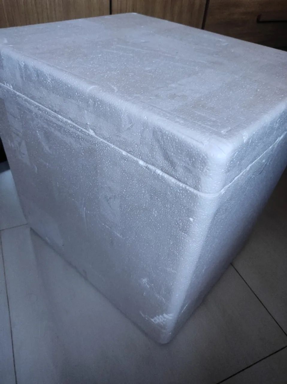 4 Caixas de Isopor Parede Tripla 46L  - Foto 2