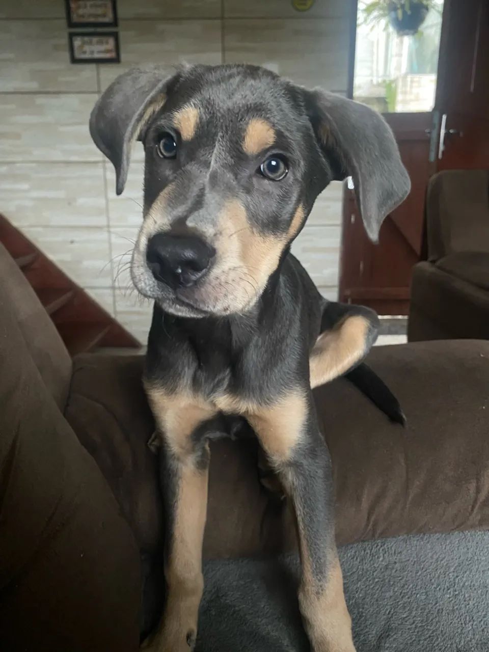 Doação  - Foto 2