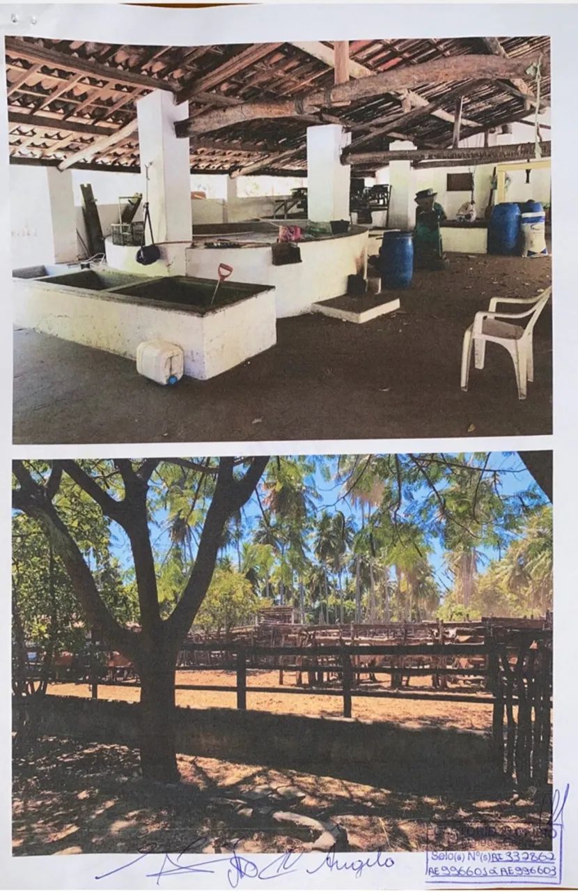 Fazenda em Beberibe - Foto 4