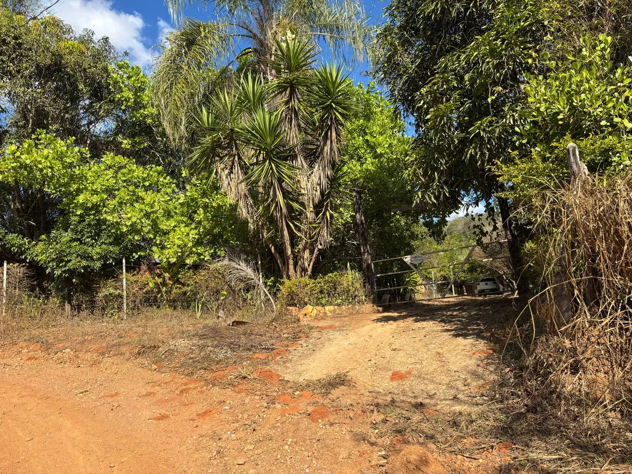 Sítio 3000 m2 com corgo muita água  - Foto 4