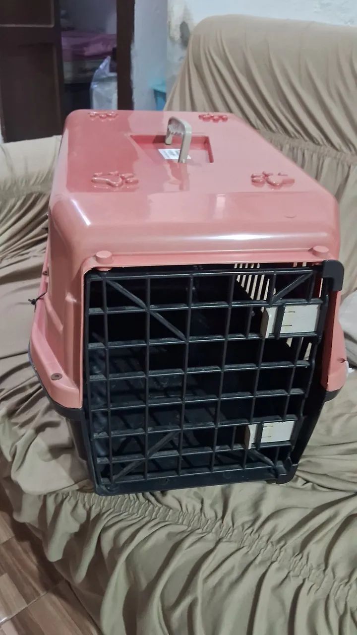 Caixa Transporte Pets
