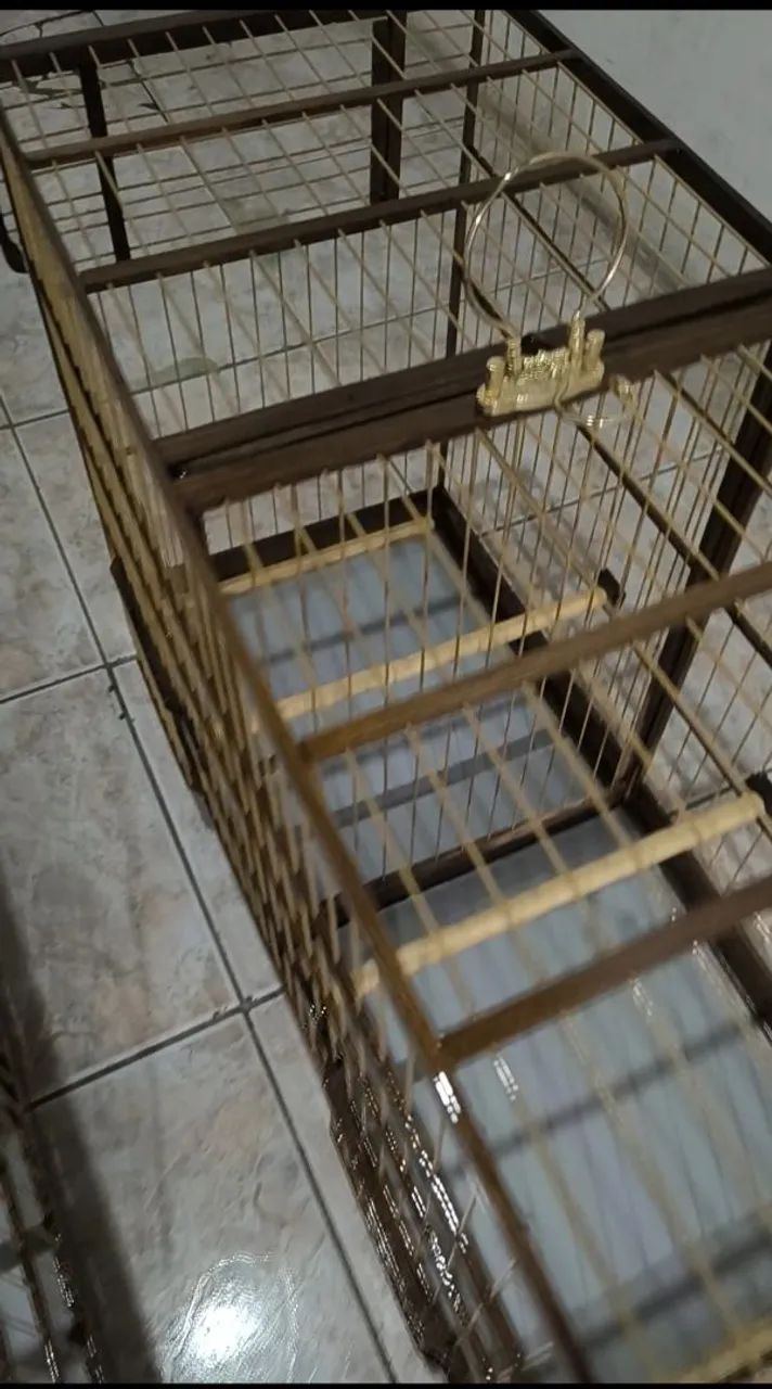 Vendo essa párea de voador novo,,,0,,,
