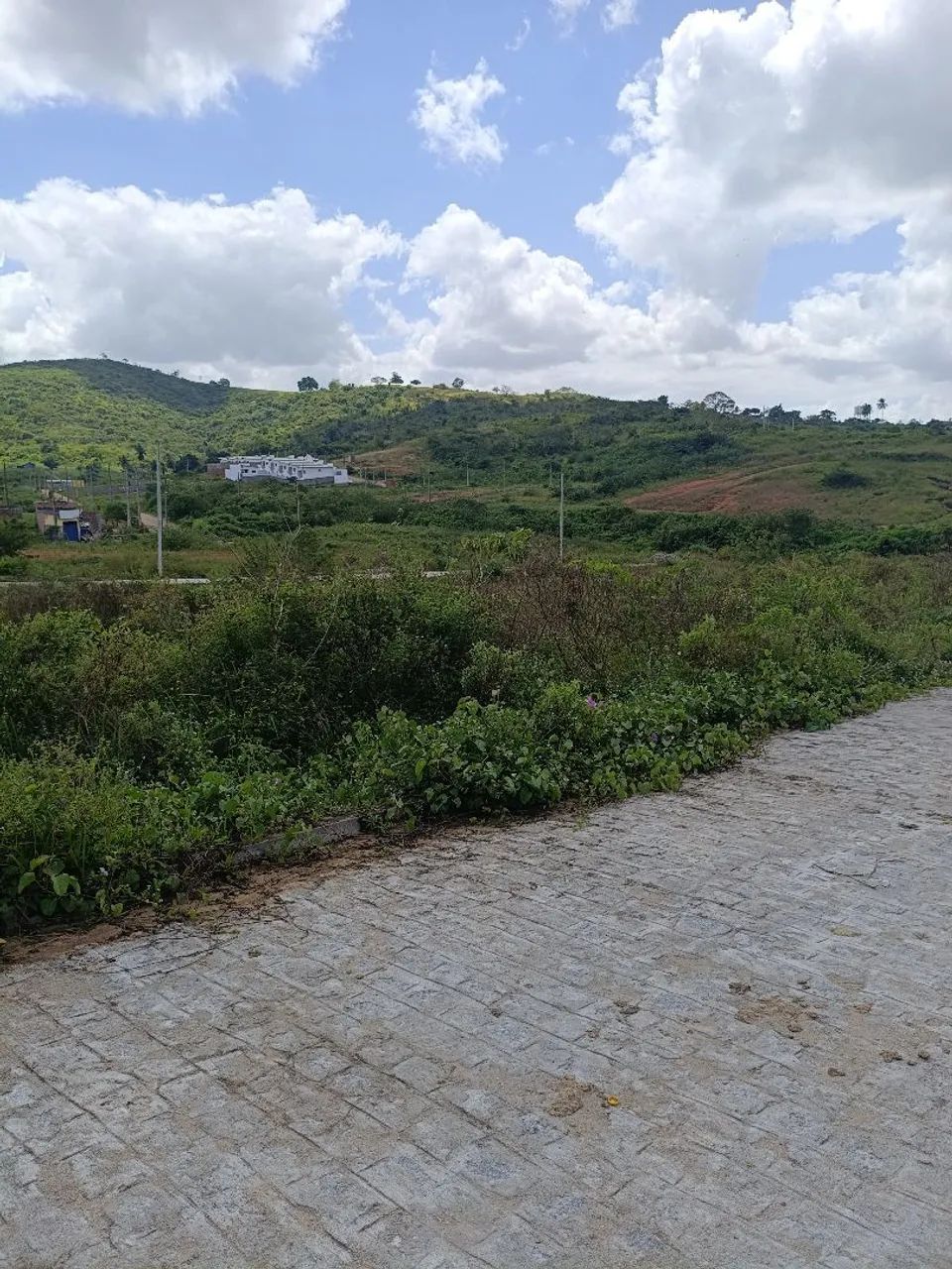 Terreno  - Foto 2