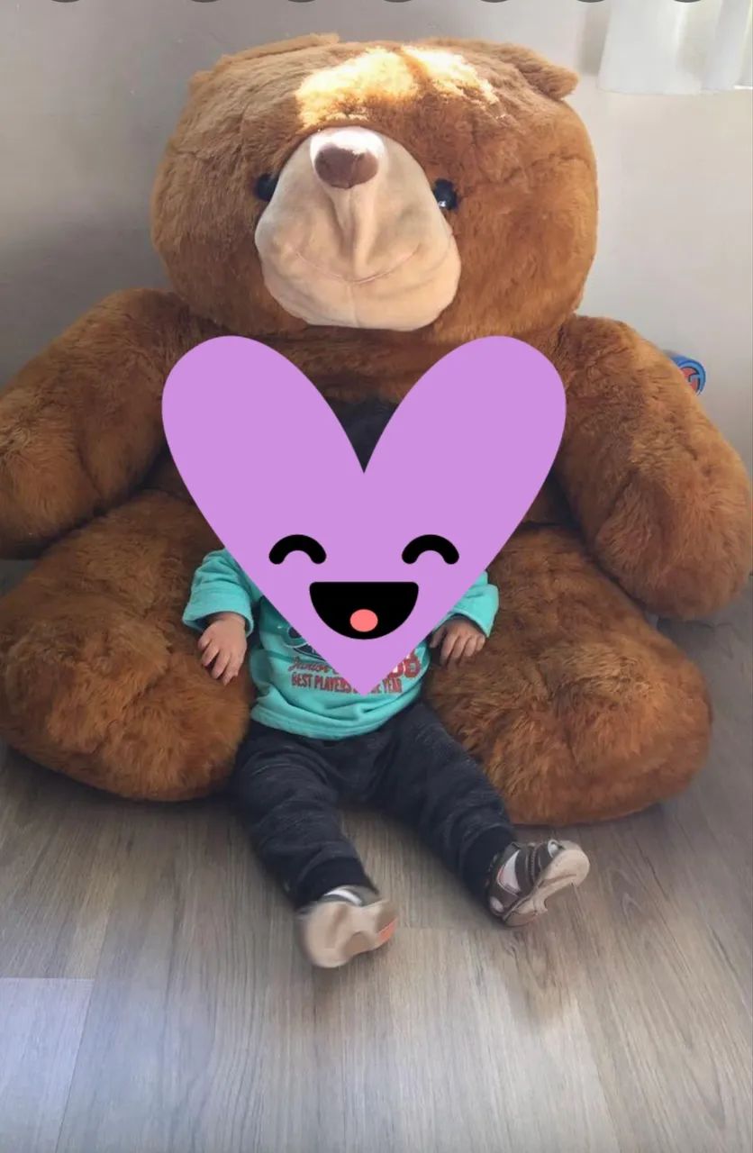 Urso marrom gigante - Foto 4