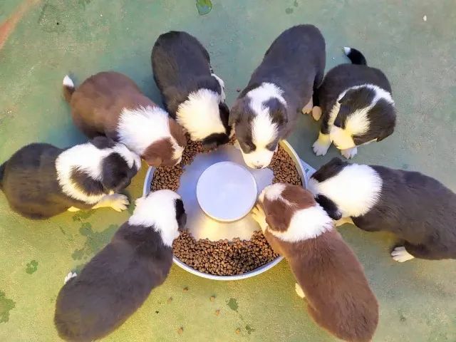 ?Esse olhar é de quem julga.? - Foto 2