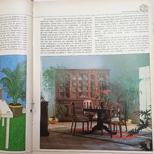 . plantas dentro de casa - Foto 2