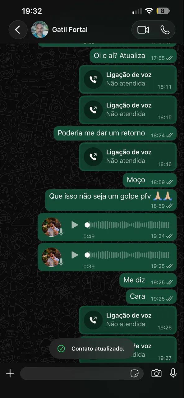 Gato persa  - Foto 2
