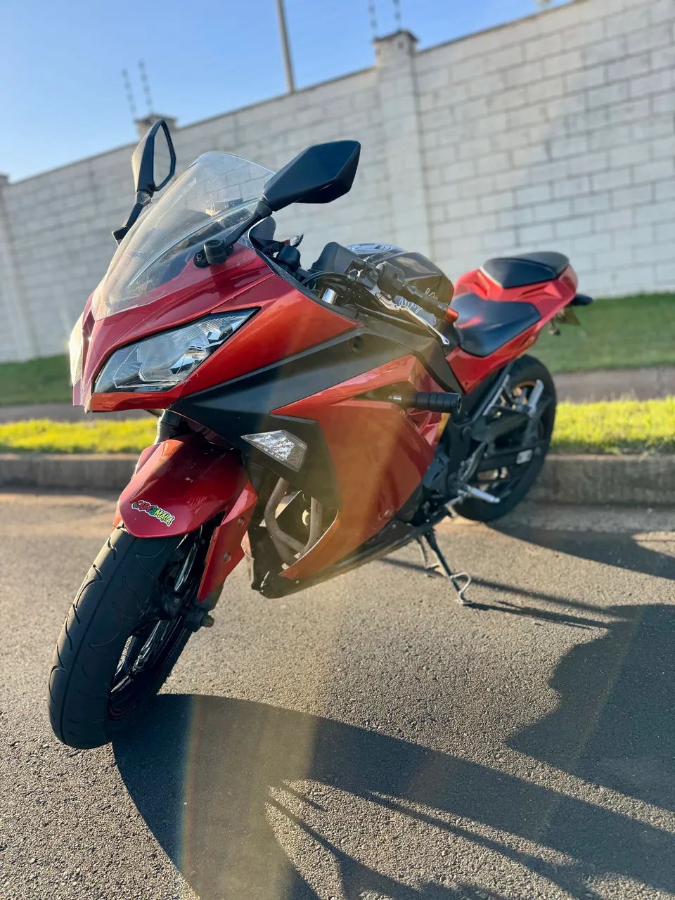 Ninja 300 