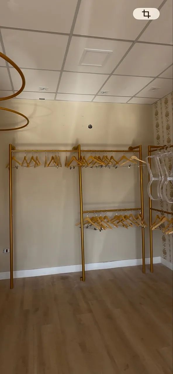 Arara dourada 2m