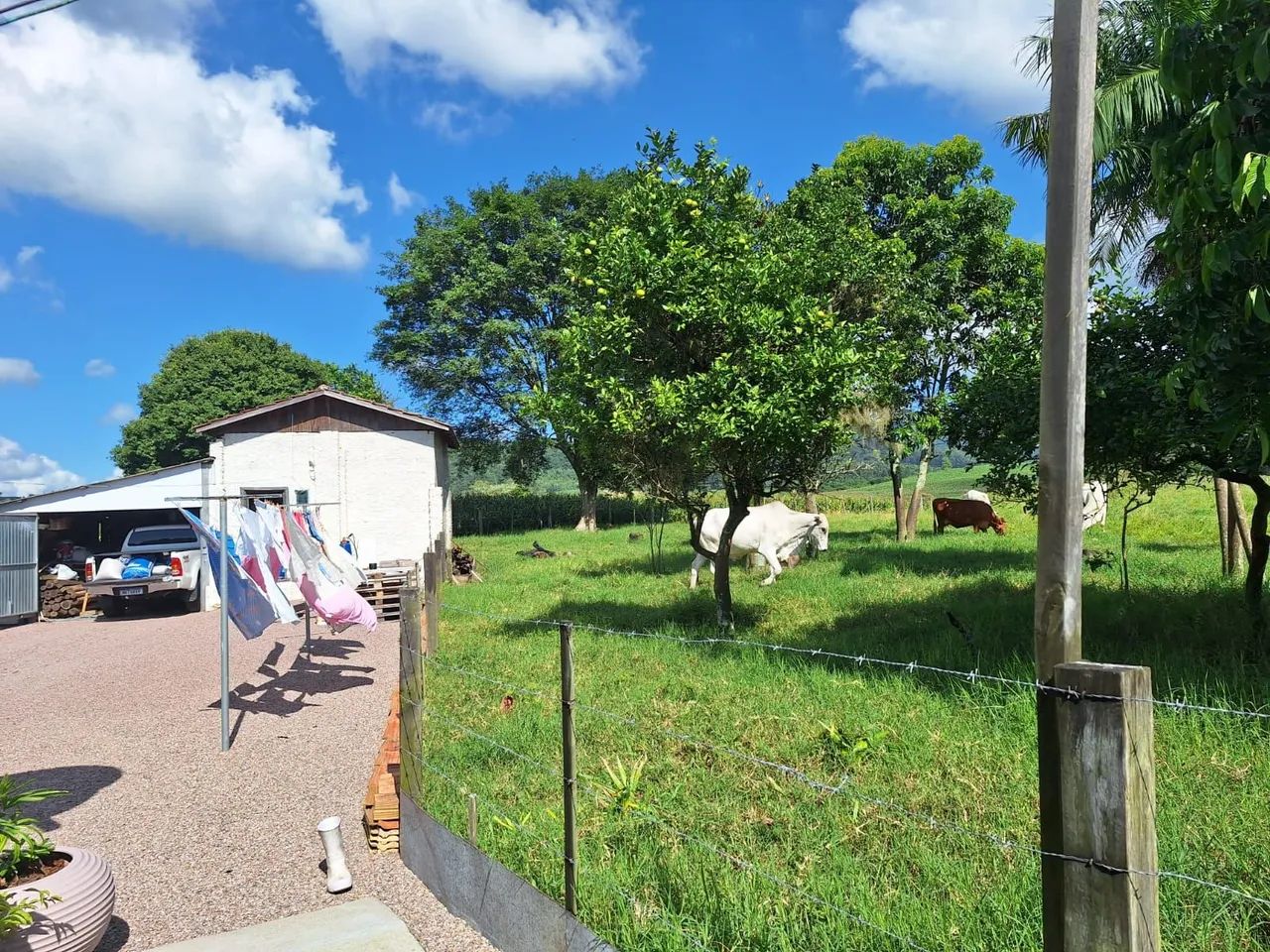 Sítio fazenda  - Foto 5