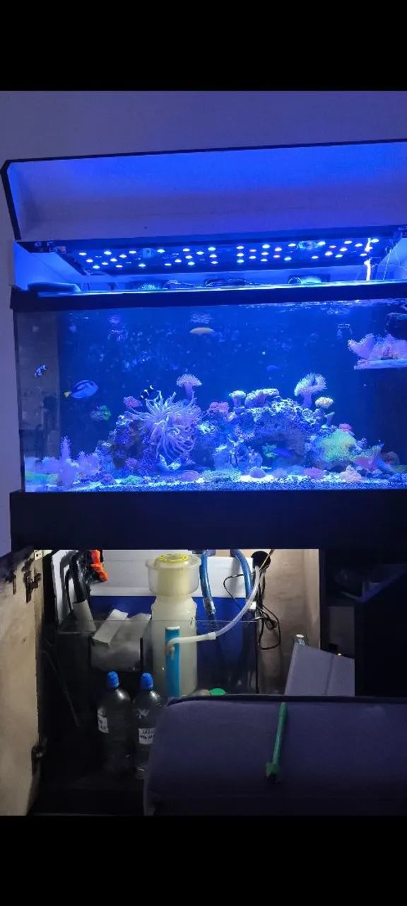 Aquário Marinho 200 litros - Foto 2