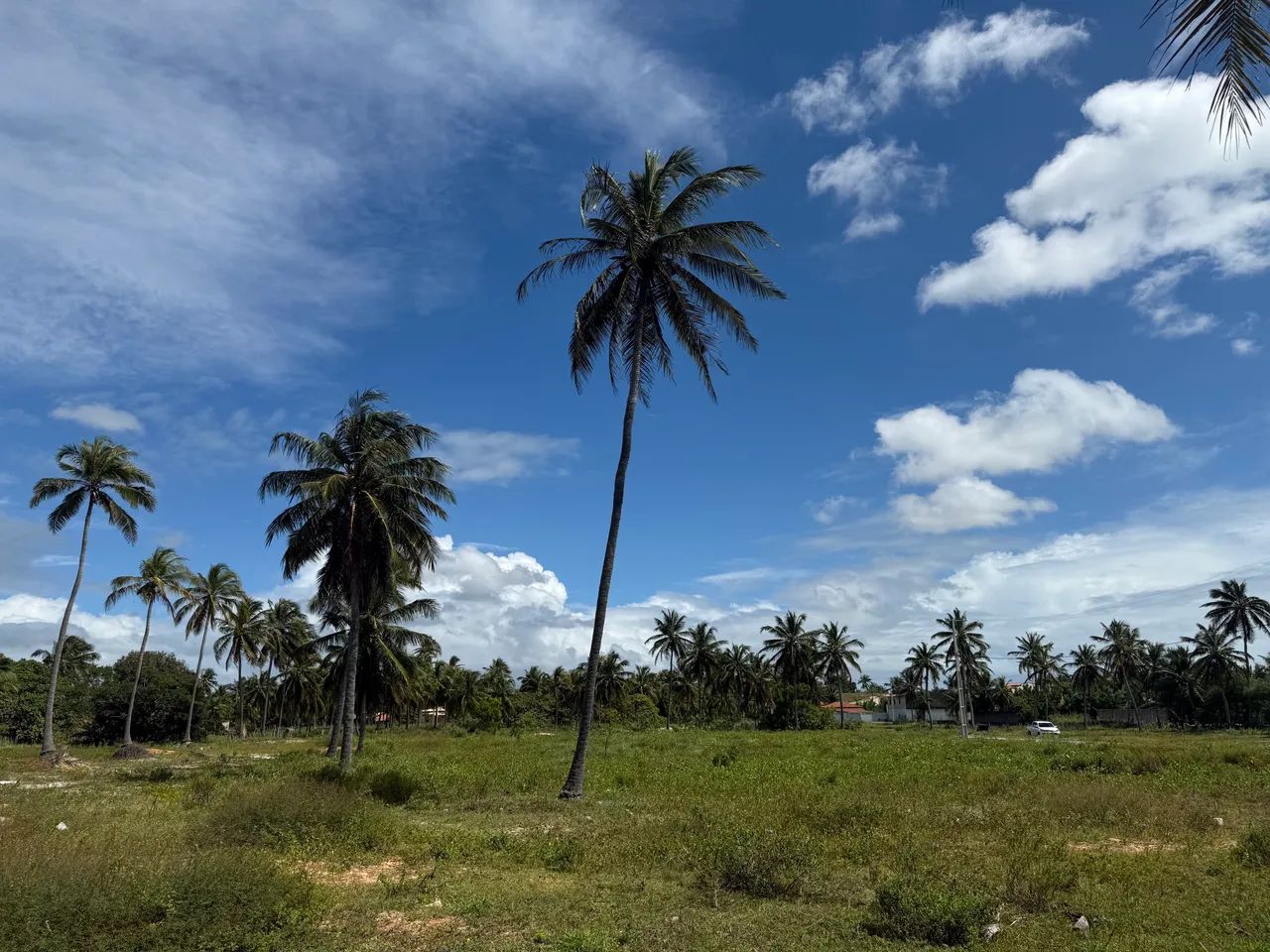 Terreno em Icaraizinho de amontada 4 min da praia - Foto 2