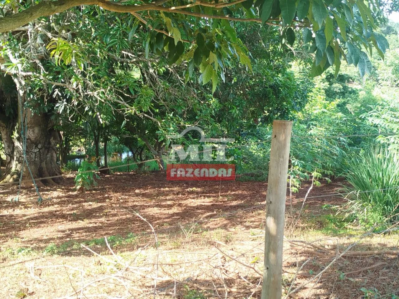 Chácara 37,500 M² em Caturaí - MG - Foto 2