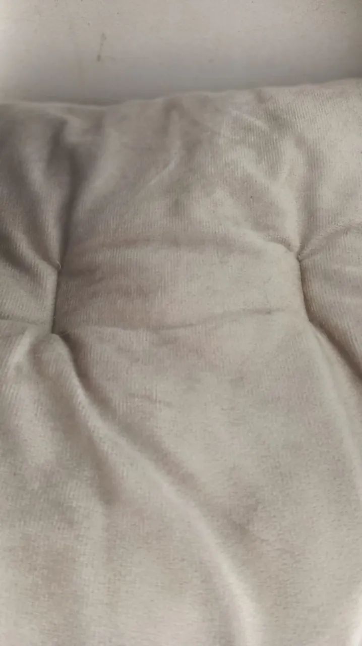 Tenda para gato - Foto 4