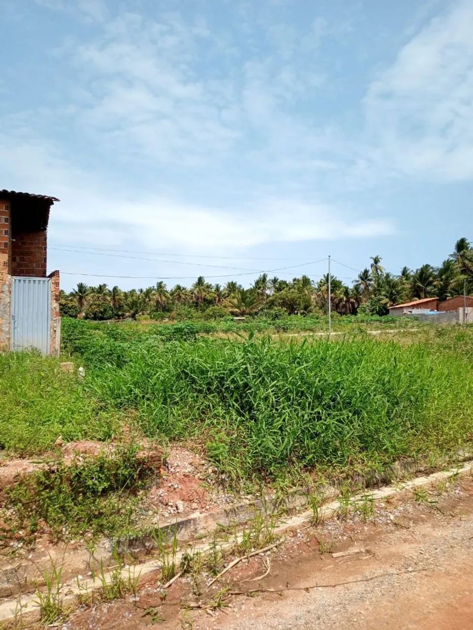Terreno em Coruripe - Foto 4
