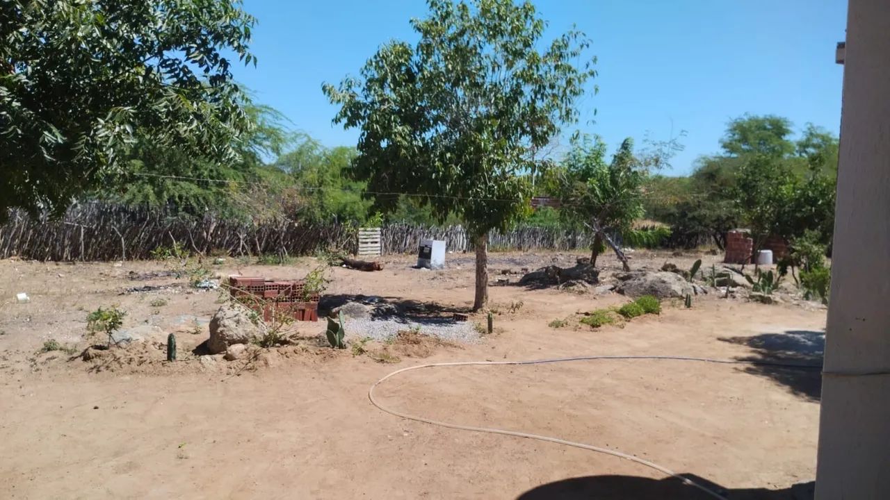Roça com casa no Riacho do sobrado/BA - Foto 3