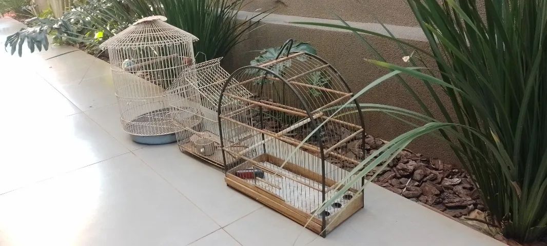 Gaiolas de pássaros em perfeito estado 