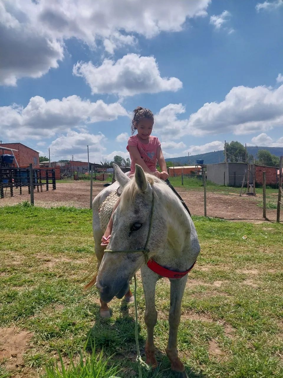 Vendo cavalo manso pra criança faço troca algo que me enteressa ou venda no pix ou dinh ch - Foto 3