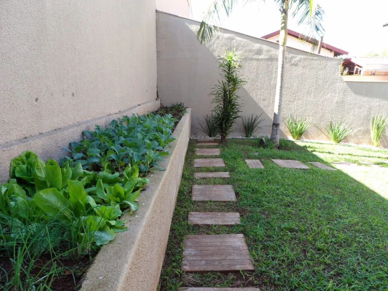 Jardinagem  - Foto 2