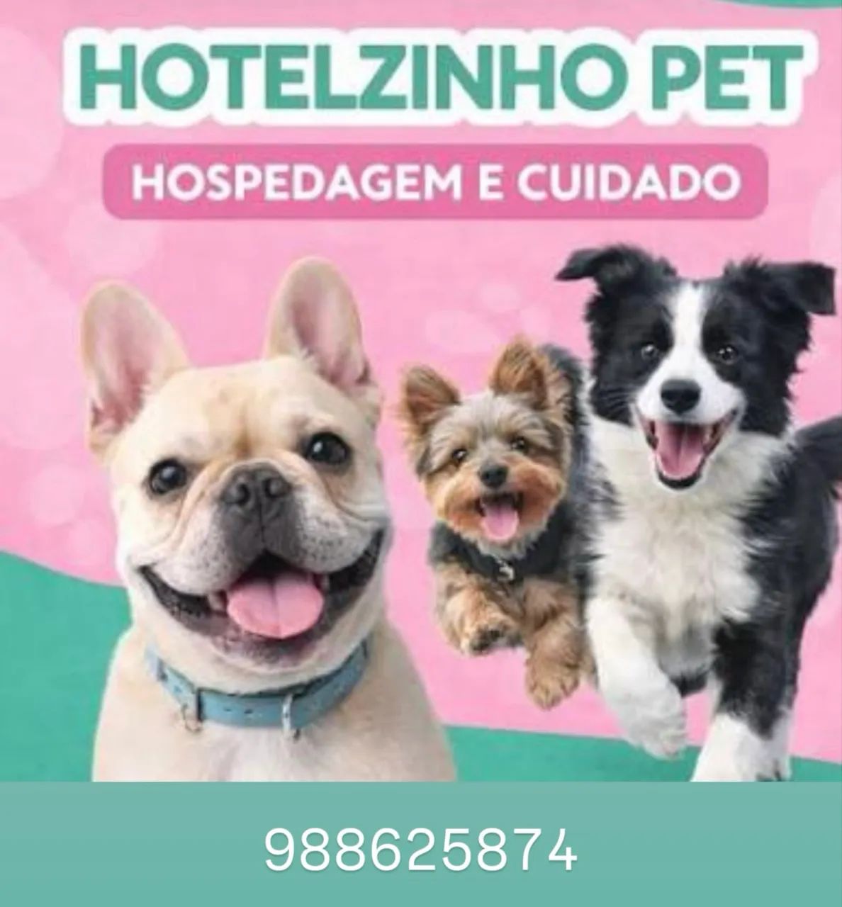 Hotel e pet shop