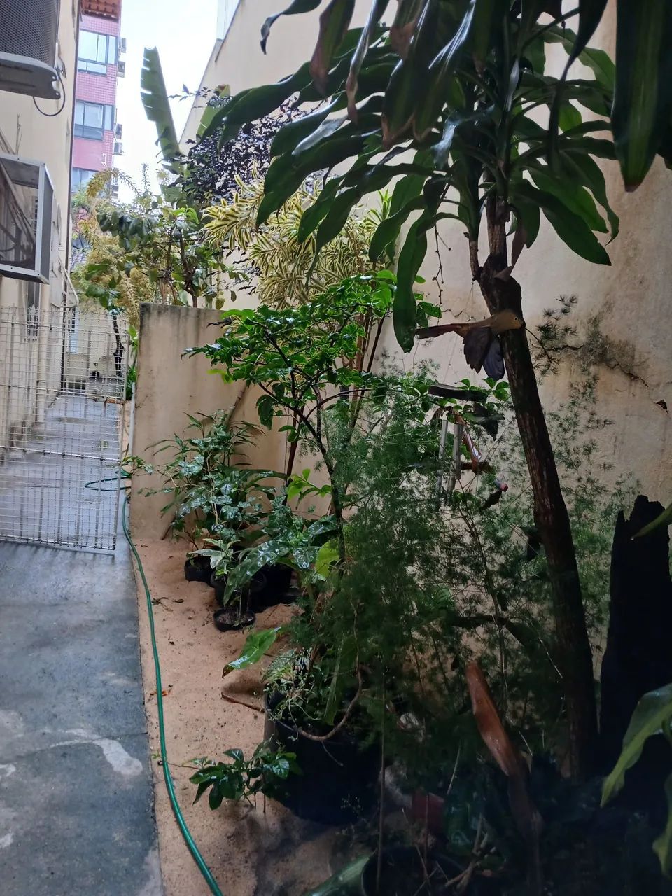 KTINET EM JARDIM CAMBURI