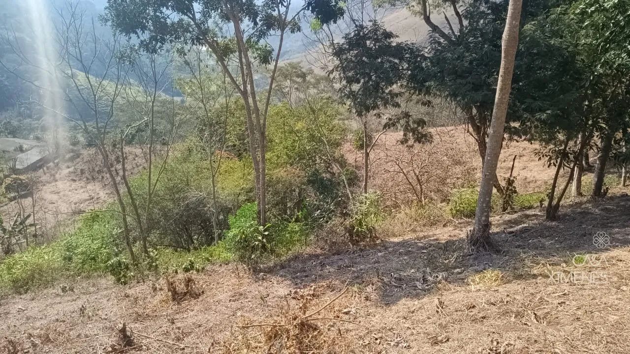 Terreno com 26.000 m² e vista indevassável em Petrópolis - Foto 3