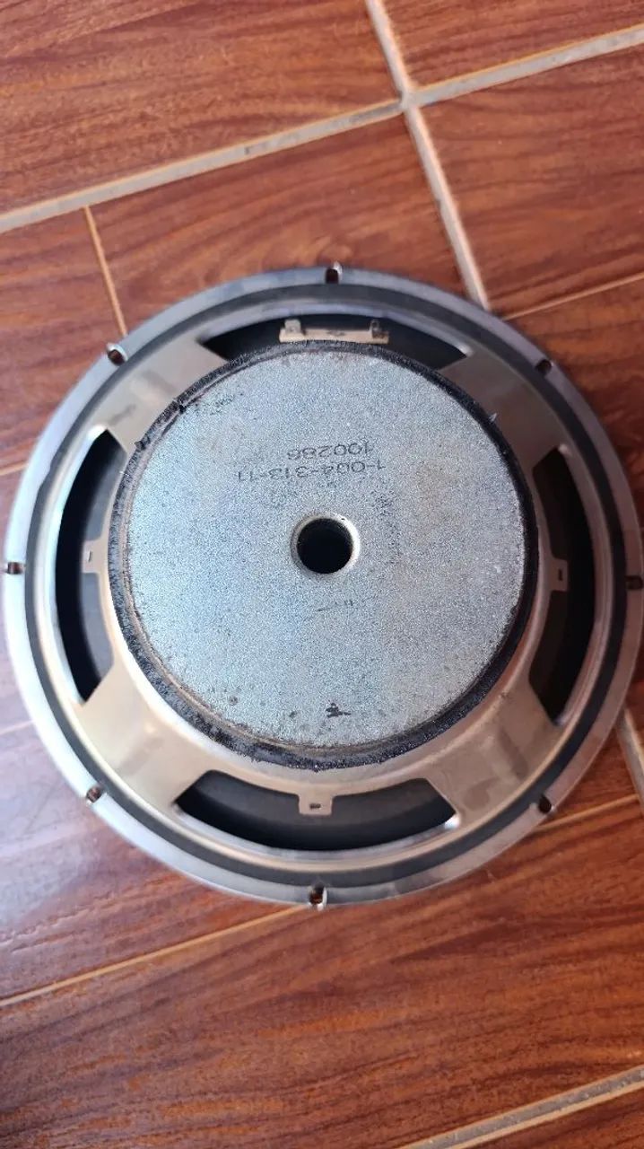 Falante de 10"  - Foto 3