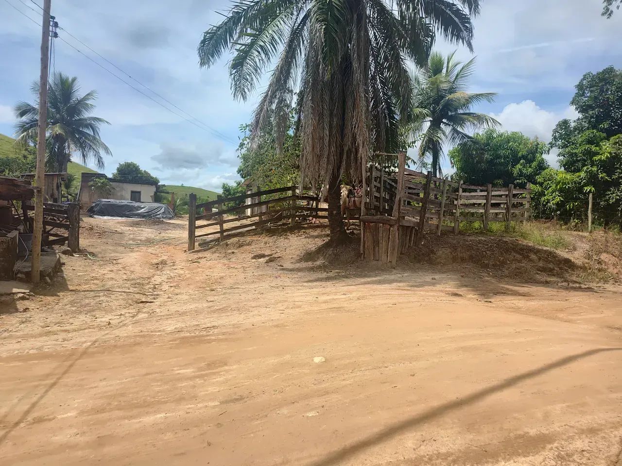 Oportunidade Única: Fazenda de Alta Produtividade agropecuária. - Foto 12