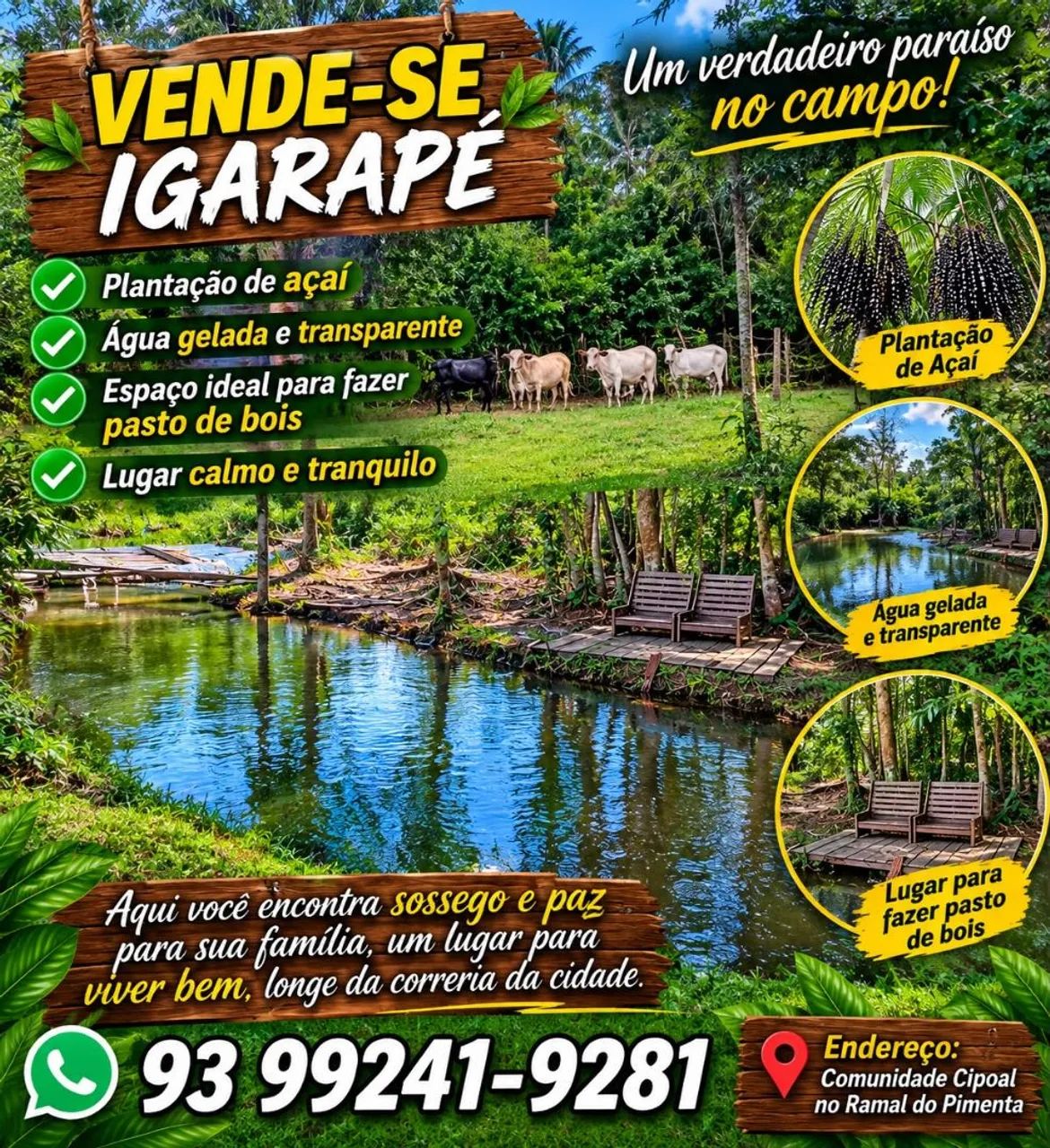 Igarapé.. 